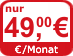 webhosting basic, preis